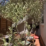 Apartman Casa Dahlia - Equipe Avec Grande Terrasse